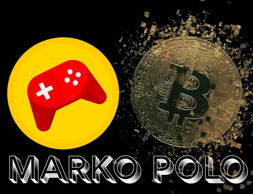 Analysis of Marko Polo Cybercriminals