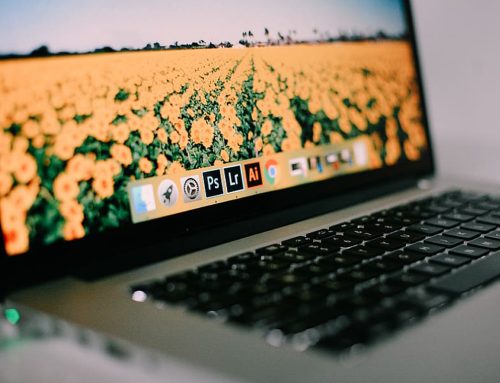 Multiple Vulnerabilities in Adobe Products