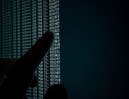 Motility Software Solutions